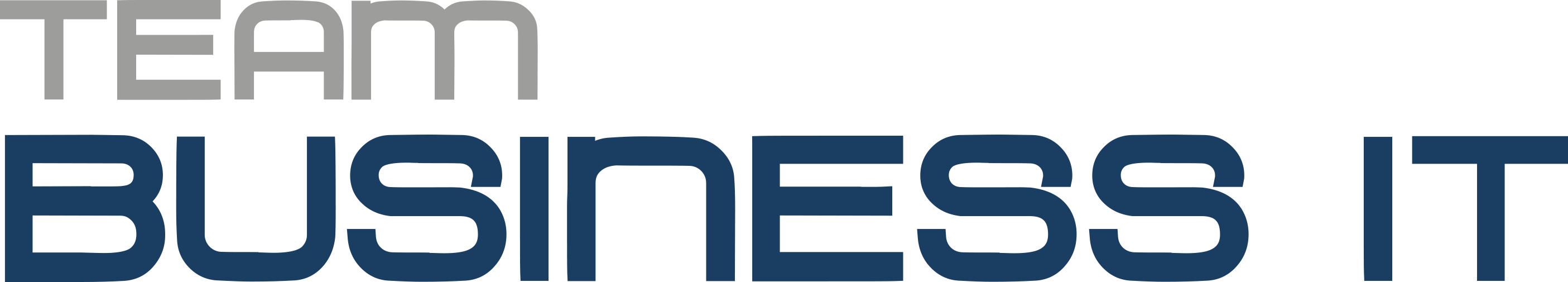 Team Business IT